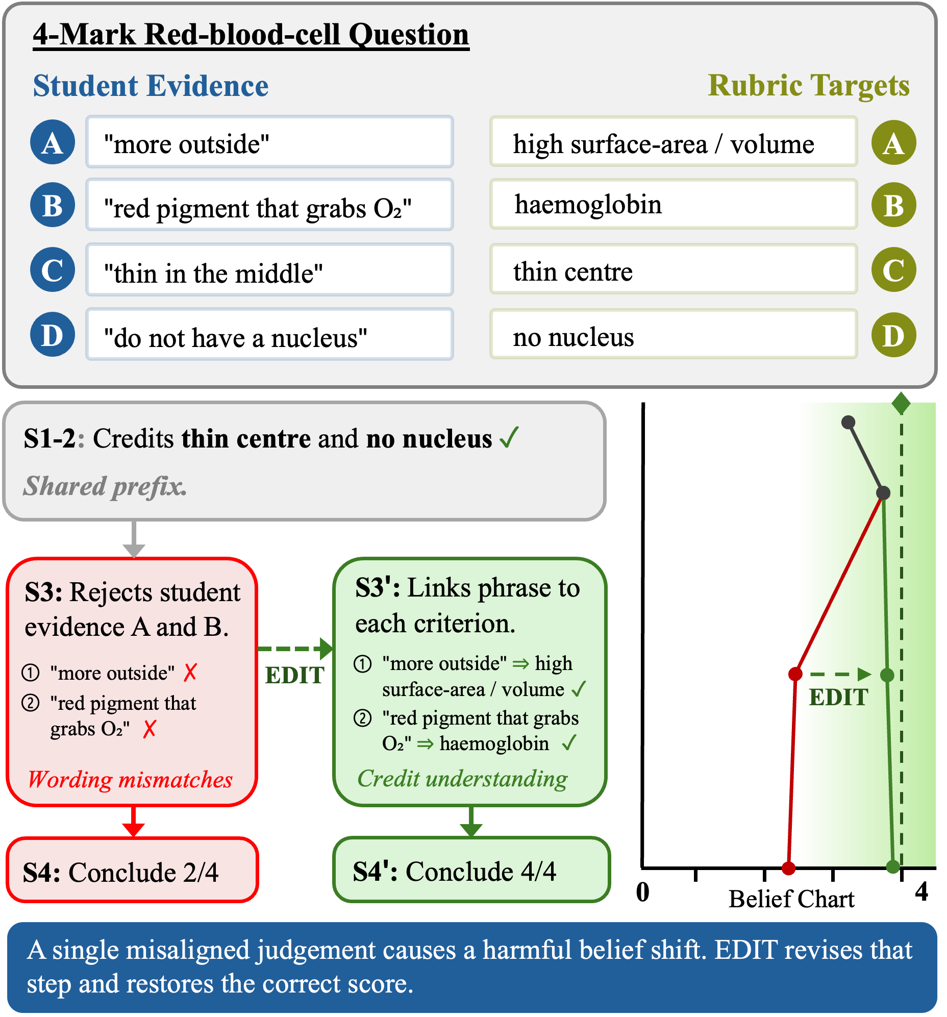 A 4-mark grading question where the standard grader rejects two correct phrases due to wording mismatches, shifting its belief away from the gold mark; EDIT revises only that step and restores the correct mark of 4/4.